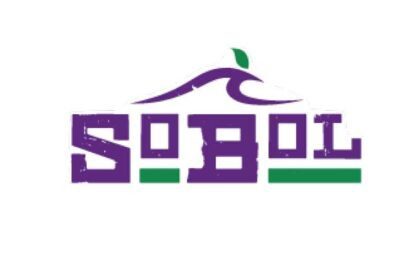 Sobol logo with wave and leaf.
